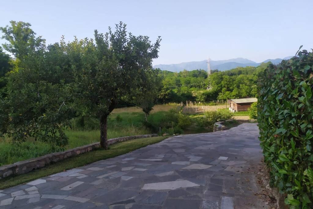 Appartamento Nel Verde Tra Cinque Terre E Versilia Barbarasco Extérieur photo